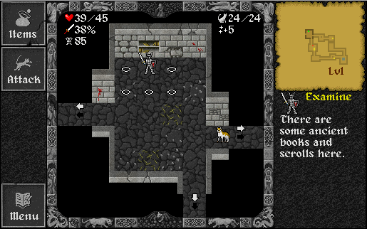 Examining the dungeon